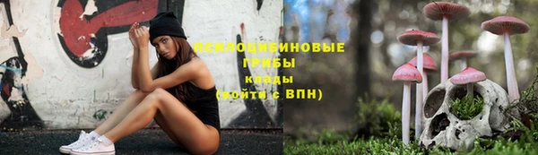 mix Слюдянка